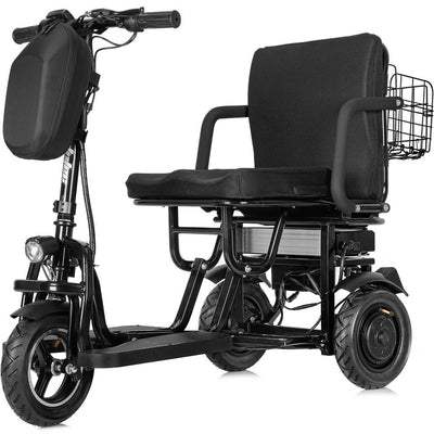 Mobility Electric Trike 48v 700w