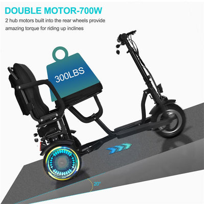 Mobility Electric Trike 48v 700w