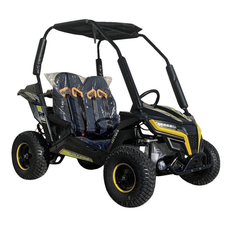 Cheetah 6 Kids Go Kart