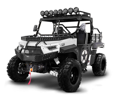 BMS® THE BEAST 1000 2S